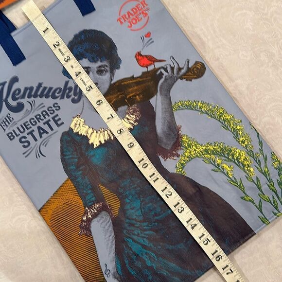 Trader Joe’s Plastic Reusable Shopping Tote Bag 6 Gallon Kentucky Collectible - Picture 8 of 11